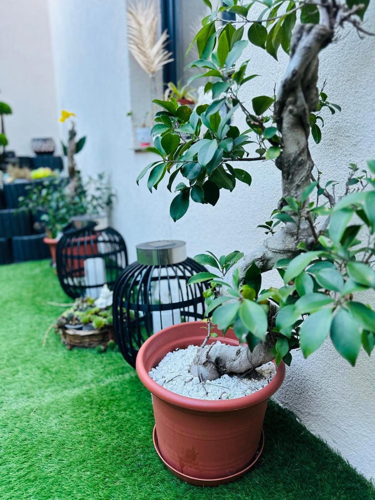 Noblesse Hause Hotel Gammertingen Kültér fotó